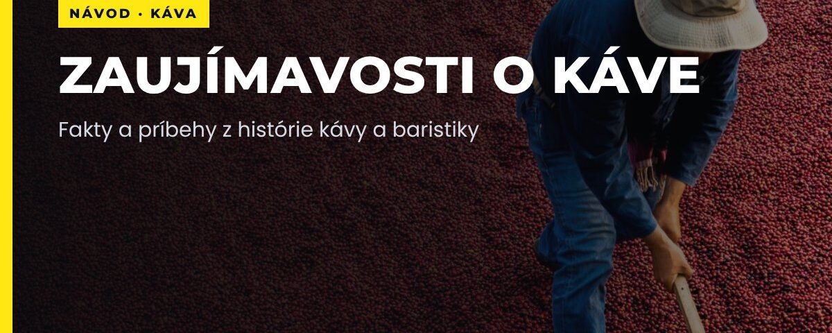 Zaujímavosti o káve a baristike