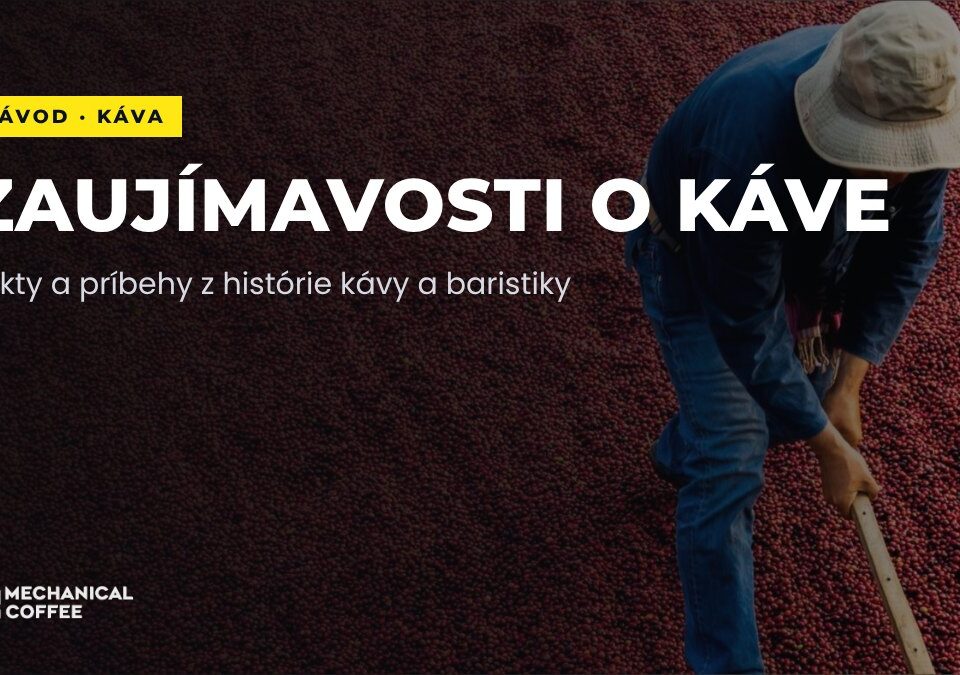 Zaujímavosti o káve a baristike