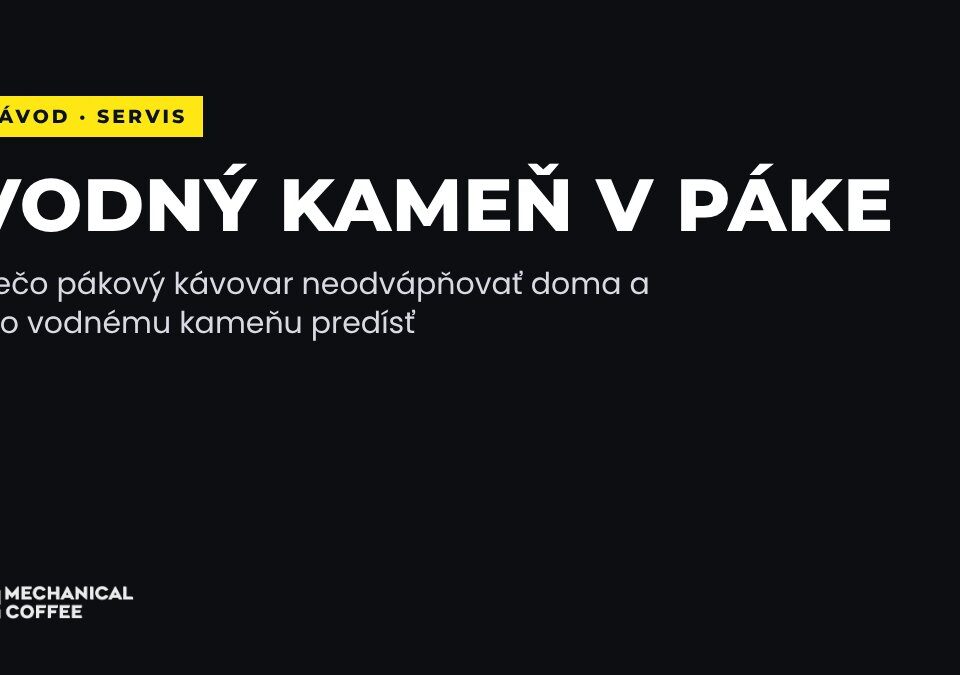 Odvápnenie pákového kávovaru: prečo ho nerobiť doma a ako mu predísť